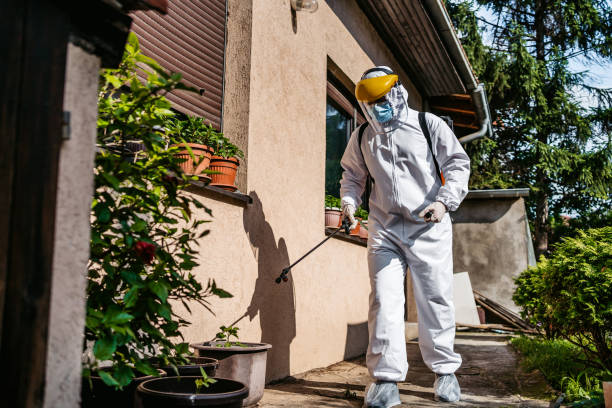 Best Best Pest Control Companies  in Waterbury, CT